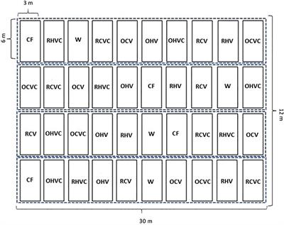 Effect of cover crops mixtures on weed suppression capacity in a dry sub-humid environment of Argentina